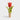 Tulipan vinprop set fra en anden vinkel