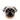 Mops hunde æggebæger set fra en anden vinkel