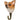 Chihuahua knage — Wildlife Garden