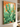 Cactus 02 plakat i ramme på væg