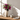 Mops stor hunde vase fra Quail – stillet op som blikfang i hjemmet
