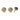 Bouton de meuble en laiton en forme de coquillage - dimsstudio