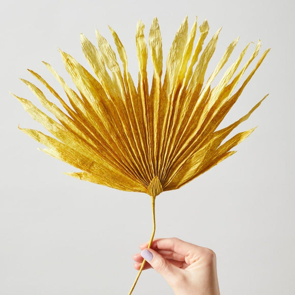 La plus belle feuille de palmier, de couleur ocre.