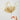 La plus belle feuille - « Morning Glory »