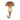 Patère champignon Karl-Johan