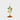 Chandelier - poisson vert