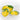 Citronnier
