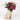 Vase de chiens