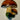 Crochets de champignons