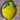 Citronnier