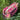 Trousse de maquillage rose tête de tigre en coton – EJA