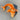 Fish carpe - grand - orange / rouge
