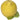 Petit vase de citron