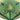 Couverture de la tête de Triceratop