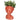 Vase de fleurs de lady