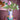 Mlle Jody Vase
