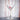 Flamingo Misa Cocktail Verre