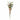 Bouquet de couronne