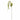 Green Foxtail - Tige artificielle