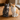 Katte salt & pebersæt - Patience & Squash fra Quail – tæt på detaljer