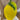 Énorme figure de citron