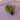 Figure verte