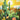 Affiche Cactus 03 - taille multiple (A22, A152, A1122)