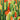 Affiche Cactus 04 - taille multiple (A23, A153, A1123)