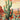 Affiche Cactus 01 - taille multiple (A20, A150, A1120)