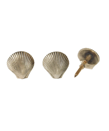 Bouton de meuble en laiton en forme de coquillage - dimsstudio
